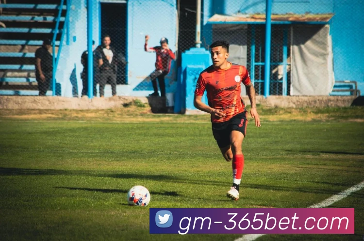 365bet平台生态图